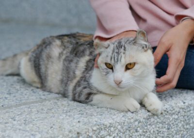 Woman cuddling cat